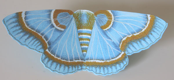 Papier Schmetterlinge malen