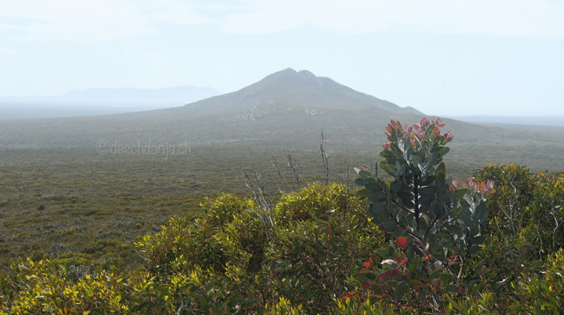 South of Western Australia