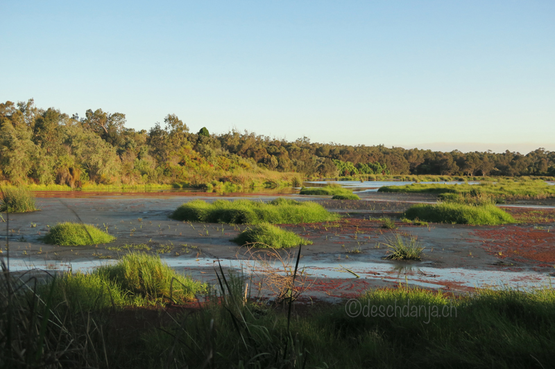 South of Western Australia