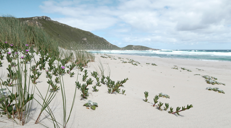 South of Western Australia