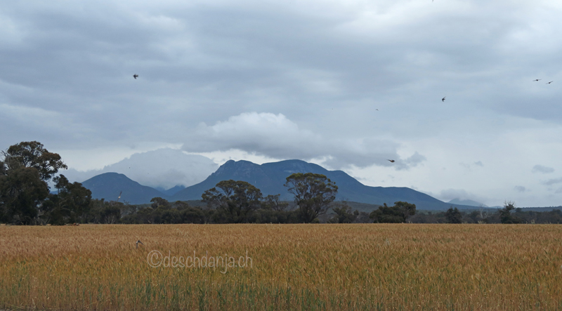 South of Western Australia