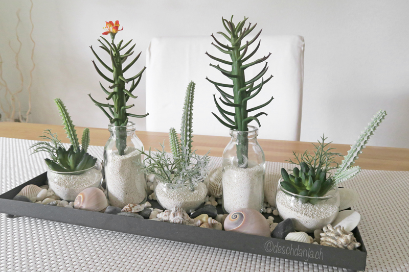 Deco with succulents and shells