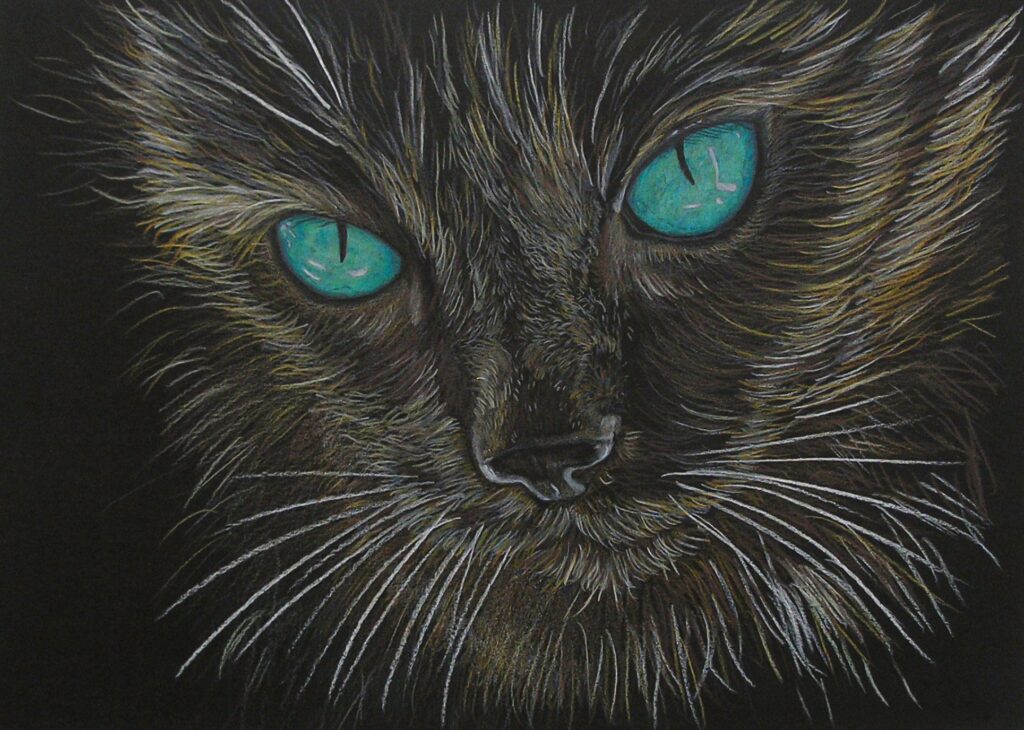 Buntstiftzeichnung einer schwarzen Katze mit grünen Augen
