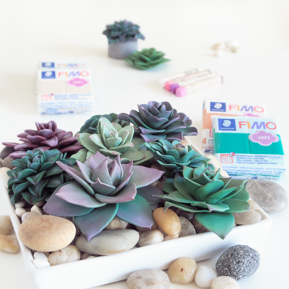 DIY Fimo Sukkulenten mit Fimo und Pastellkreiden